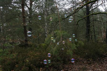 bulle 1