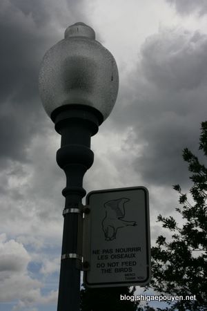 Canada 2011 - Montréal
