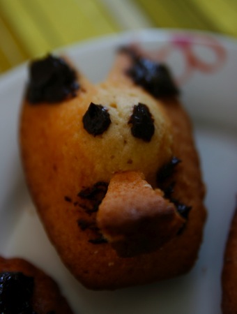 madeleine_chocolat