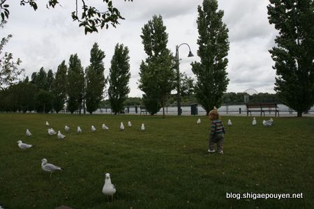Canada 2011 - Montréal