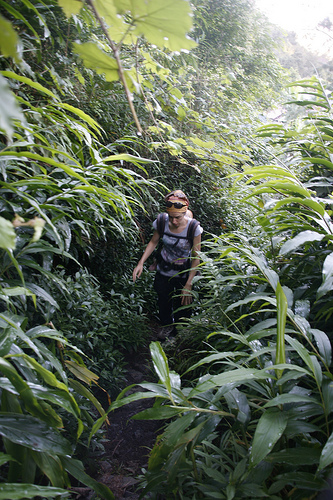 Ile de la Réunion - janvier 2011 - 603