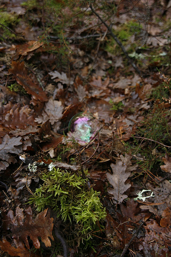 bulle 2