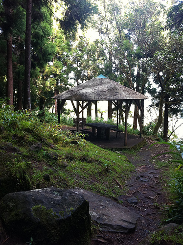 Ile de la Réunion - janvier 2011 - 631