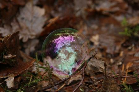 bulle 3