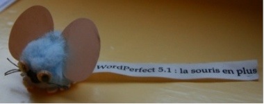 Featured image of post Word Perfect 5.1 et Goodies