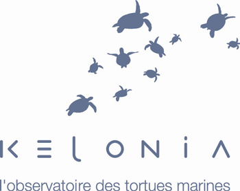 Featured image of post Ile de la Réunion - 18/01/11 - Kelonia : la ferme des tortues marines - Côté mer
