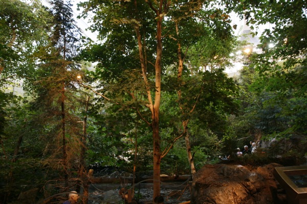canada