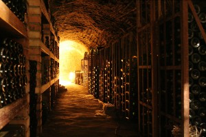 Featured image of post un Monde, des vins