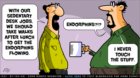 Endorphin Flow