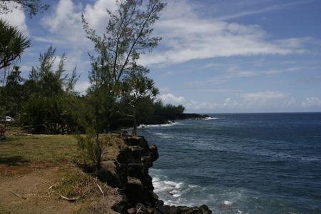 Ile de la Réunion - janvier 2011 - 303