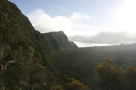 Ile de la Réunion - janvier 2011 - 246