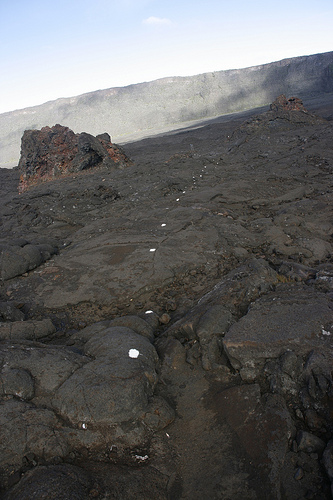 Ile de la Réunion - janvier 2011 - 278
