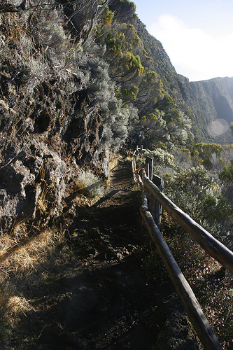 Ile de la Réunion - janvier 2011 - 247